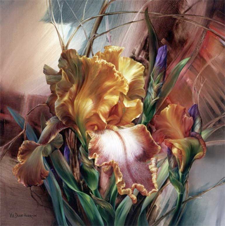 Vie Dunn-Harr